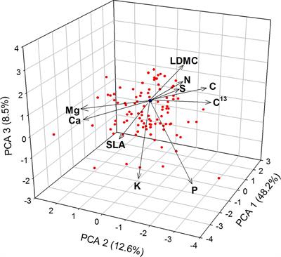 Biogeochemical and Ecomorphological Niche Segregation of Mediterranean Woody Species along a Local Gradient